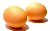 Que contient le blanc de l’œuf de poule ?